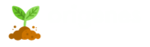 Origenes.online